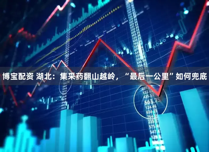 博宝配资 湖北：集采药翻山越岭，“最后一公里”如何兜底