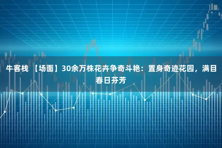牛客栈 【场面】30余万株花卉争奇斗艳：置身奇迹花园，满目春日芬芳